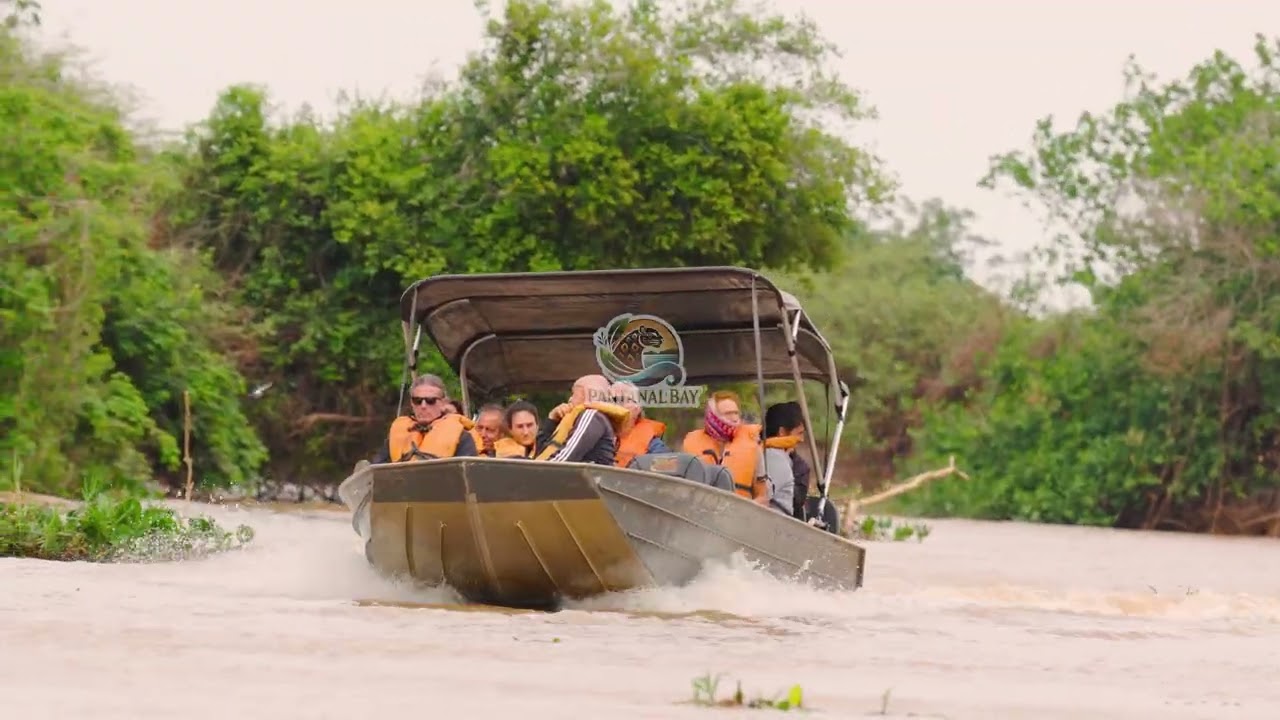 Pantanal: O Tour Completo Pela Pousada Berço Pantaneiro!