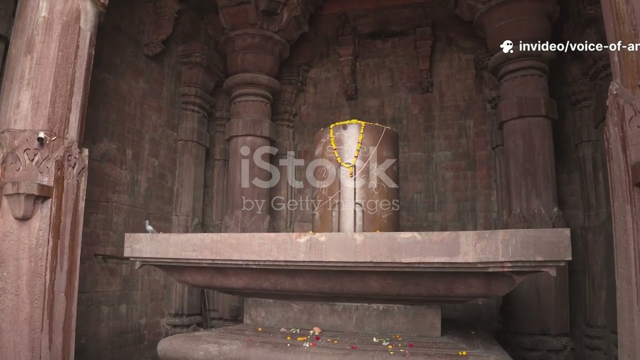 यमुना तट पर स्थित 101 शिव मंदिर | बटेश्वर धाम आगरा#mahadev #shortvideo #shorts #sanatandharma #shiv