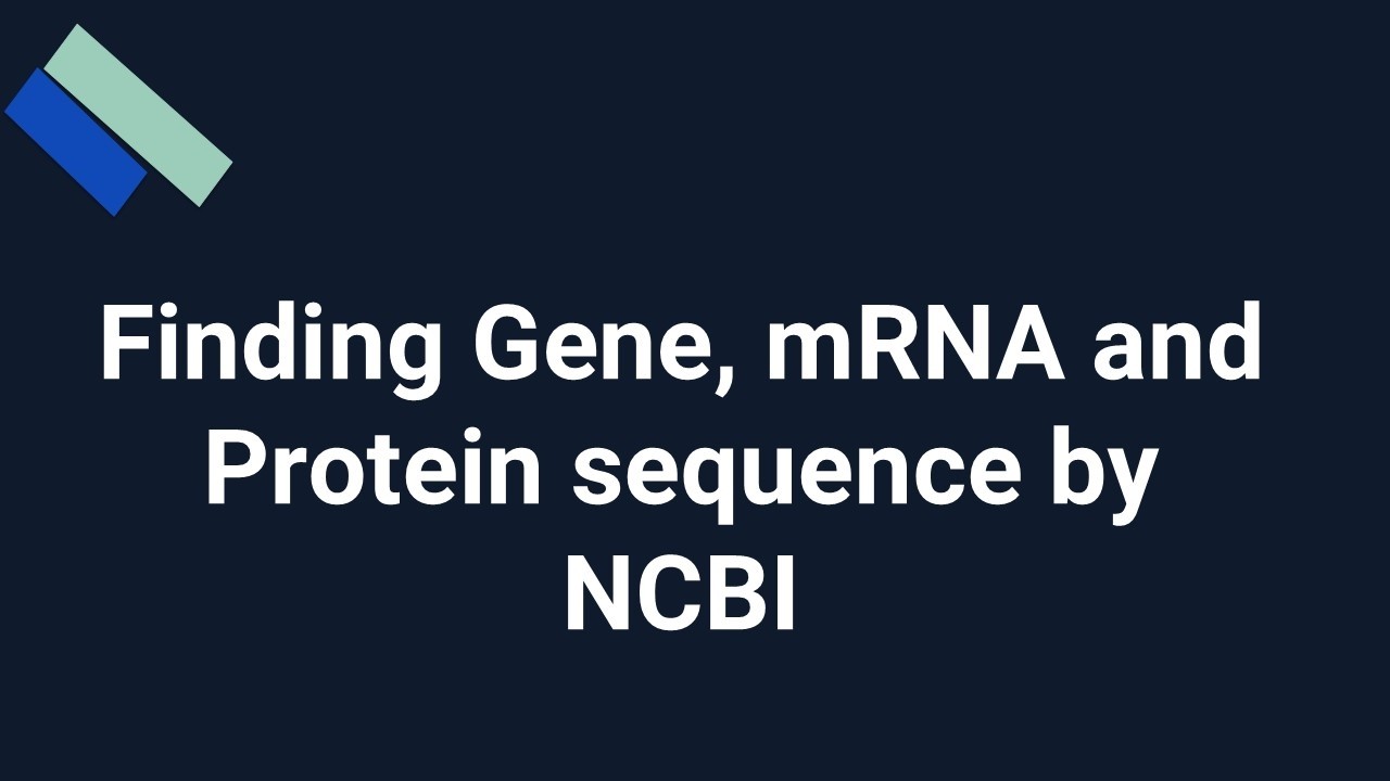 Finding Gene, mRNA and Protein sequence by NCBI