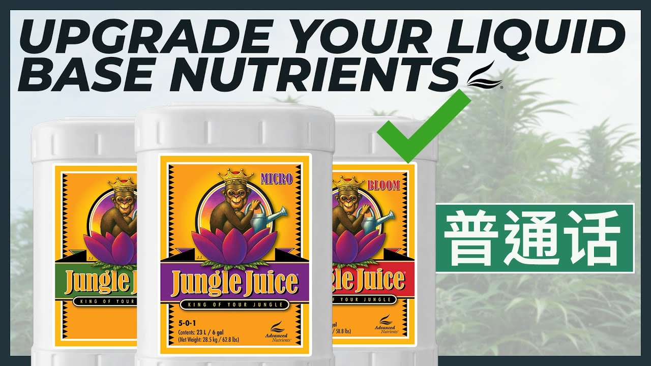 Upgrade Your Liquid Base Nutrients - (Mandarin Language) 升级您的液体基础营养素