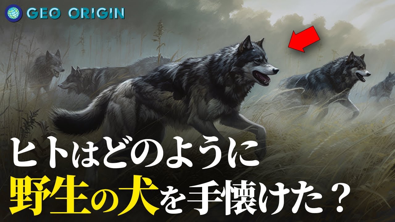 犬と人間が親友になるまで
