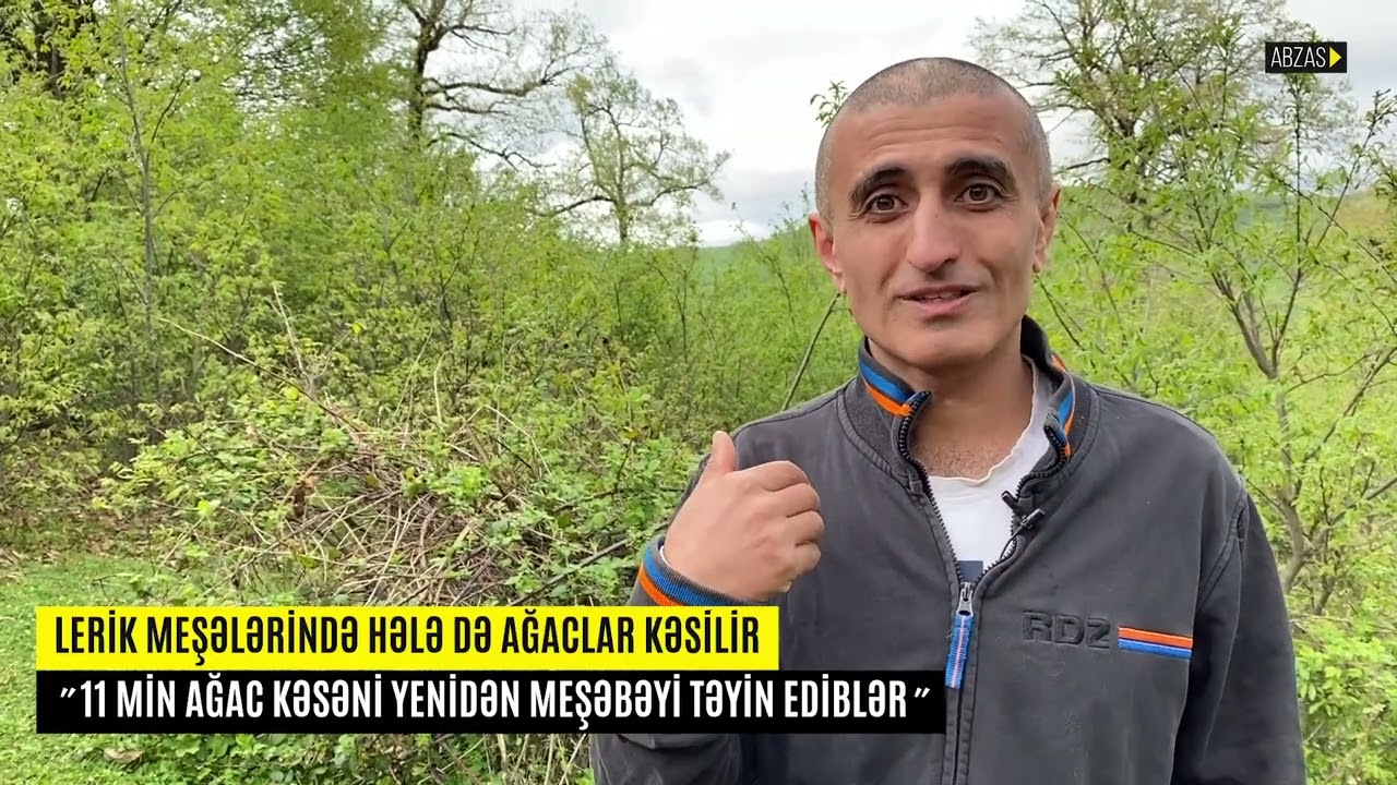 Lerik rayonunun Günəşli kəndində meşələr kəsilməkdə davam edir