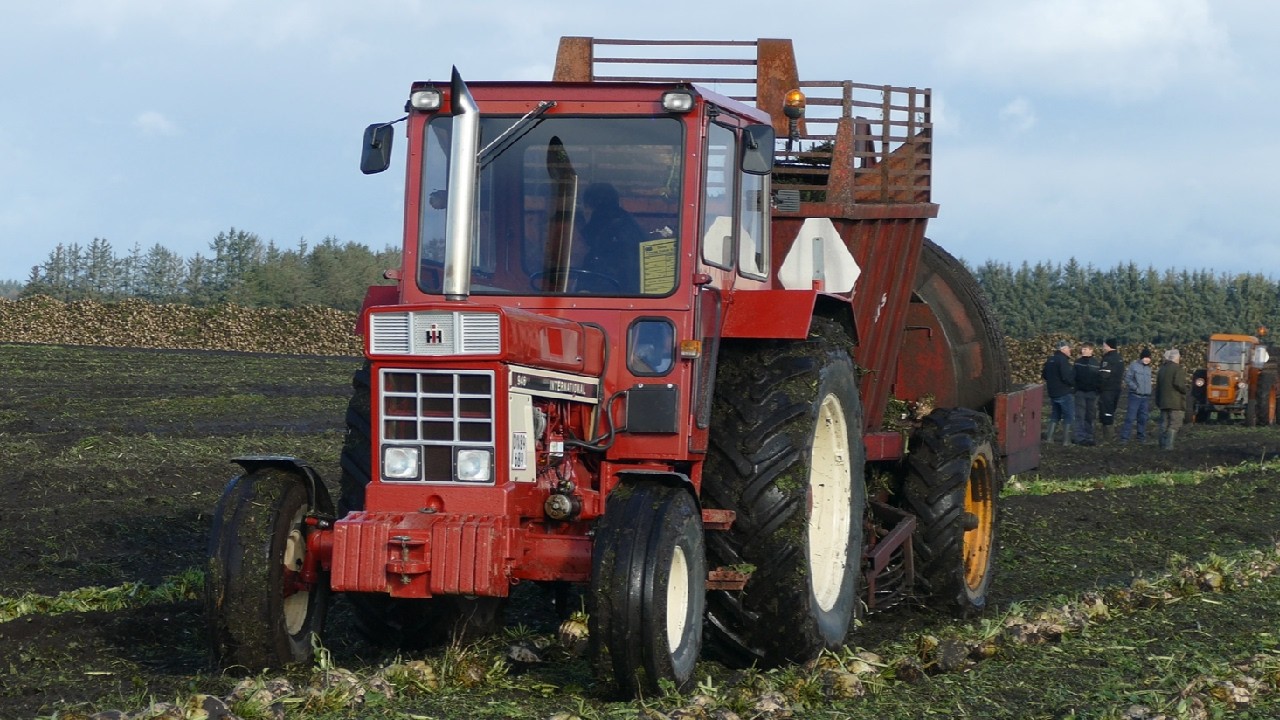 INTERNATIONAL 946 With TIM Sugarbeet Harvester