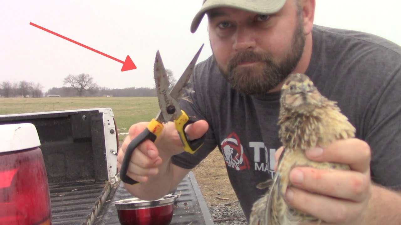Homesteading Tip: How To Clean A Quail Fast And Easy.  Cooking Quail In Cast Iron!