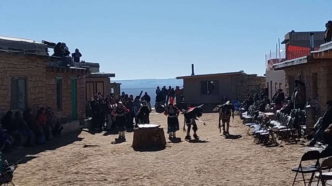 Hopi/Zuni Buffalo 🦬 1/25/26