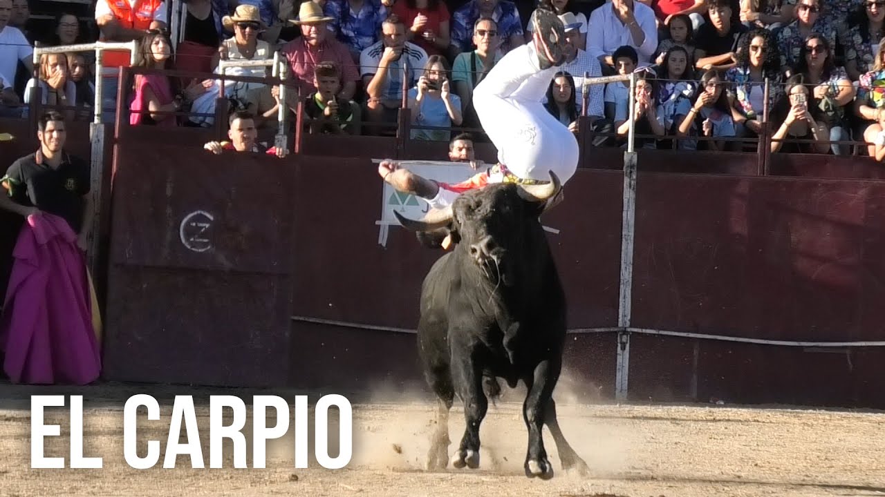El Carpio 2024 Concurso con Toros Bravos