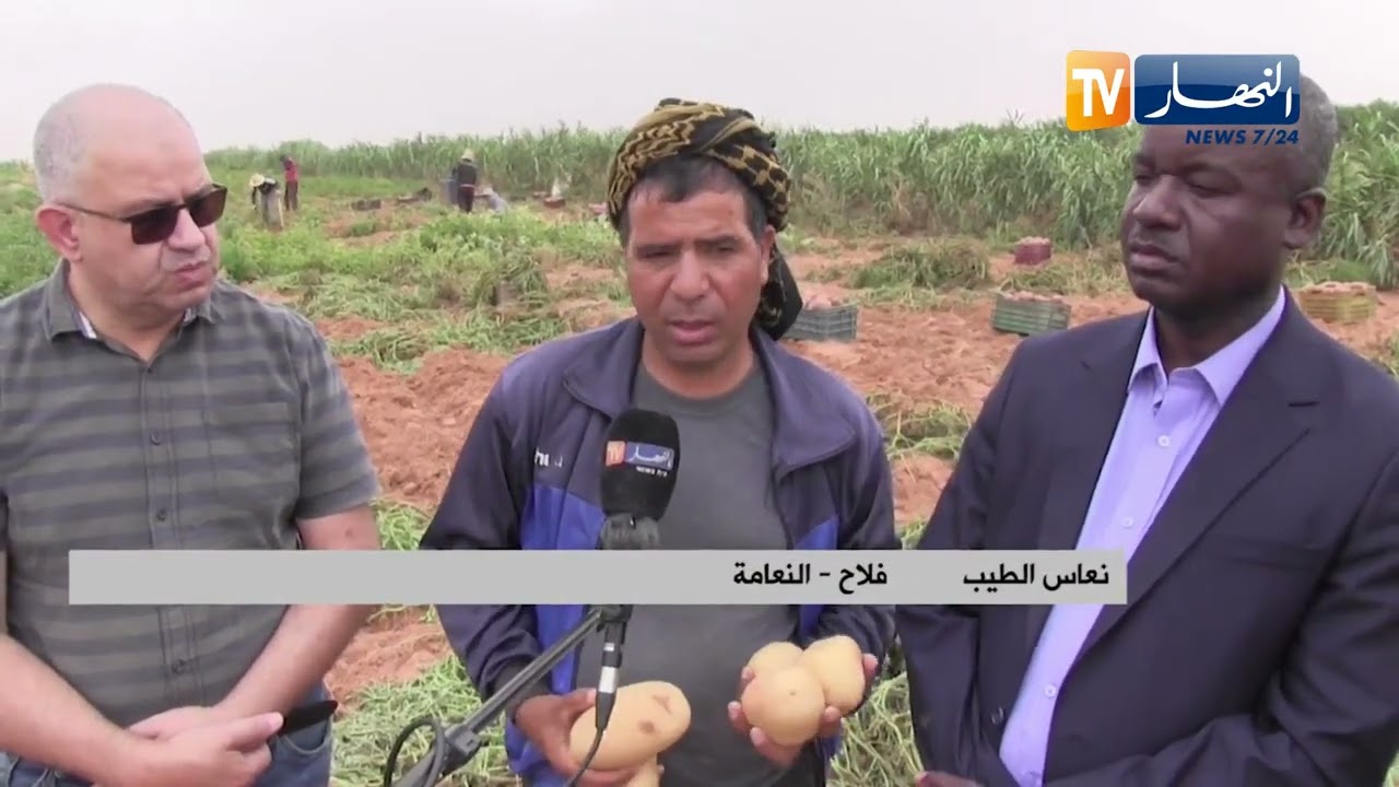 النعامة:  سياسة جديدة للتكفل بفائض انتاج الفلاحين بصيغة رابح رابح