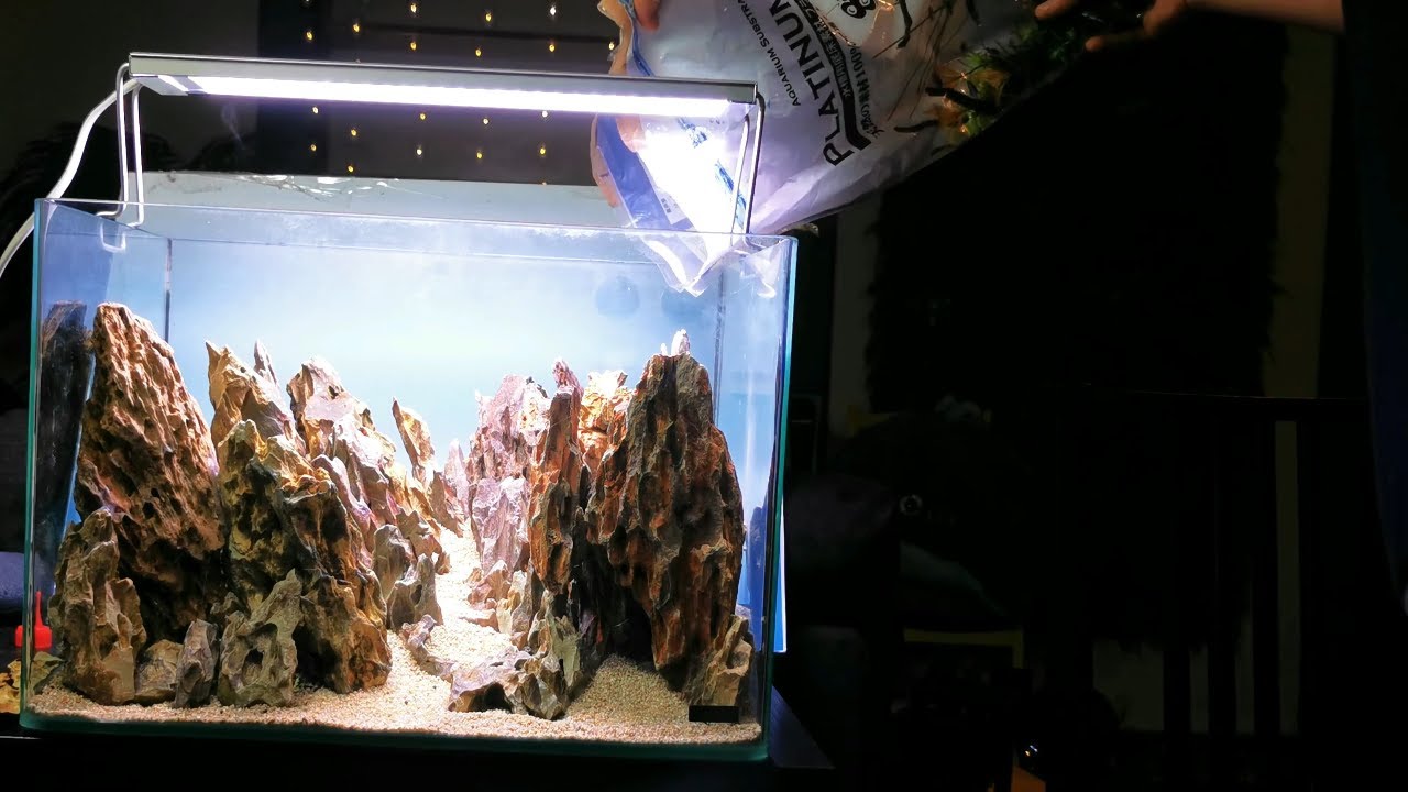 Planted aquarium setup time lapse, P1 hardscape (step by step aquascaping tutorial)