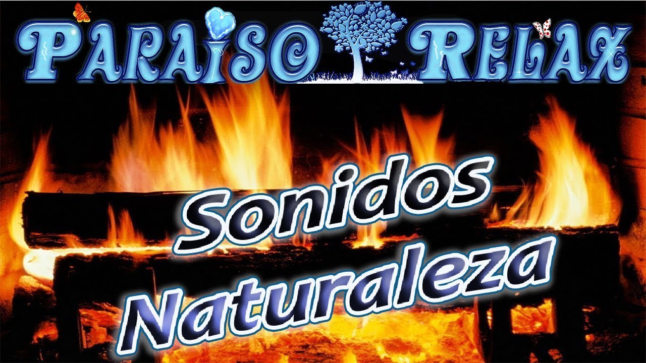 EL CREPITAR DEL FUEGO, SONIDOS DE LA NATURALEZA RELAJANTES PARA ESTUDIAR, TRABAJAR, DORMIR, NATURE