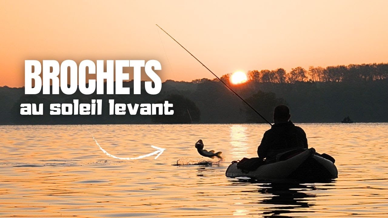 Explosion d'attaques au soleil levant pour l'OUVERTURE DU BROCHET 2025 ! (pêche aux leurres)