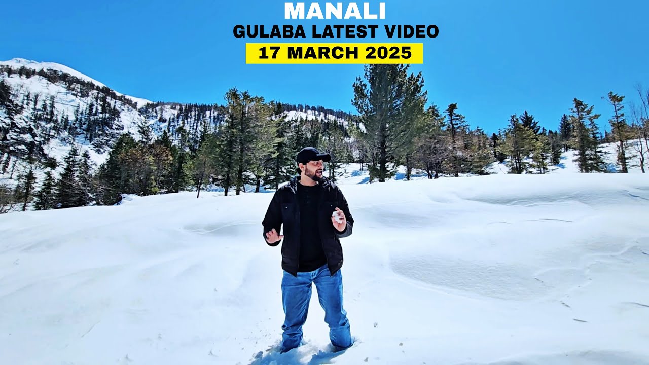 Manali Latest Video || Gulaba snowPoint 17 March 2025 || MD Raz