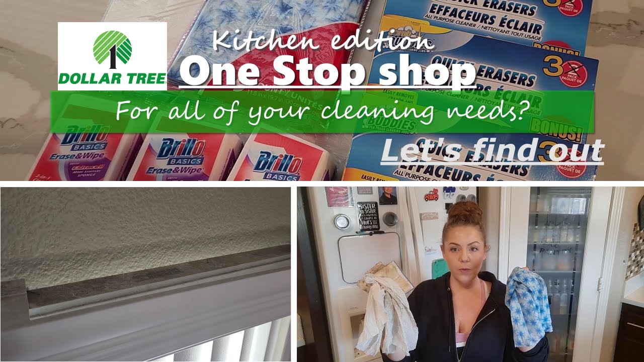 DOLLAR TREE CLEANING| I cleaned my ENTIRE kitchen using quick erasers and reusable towels