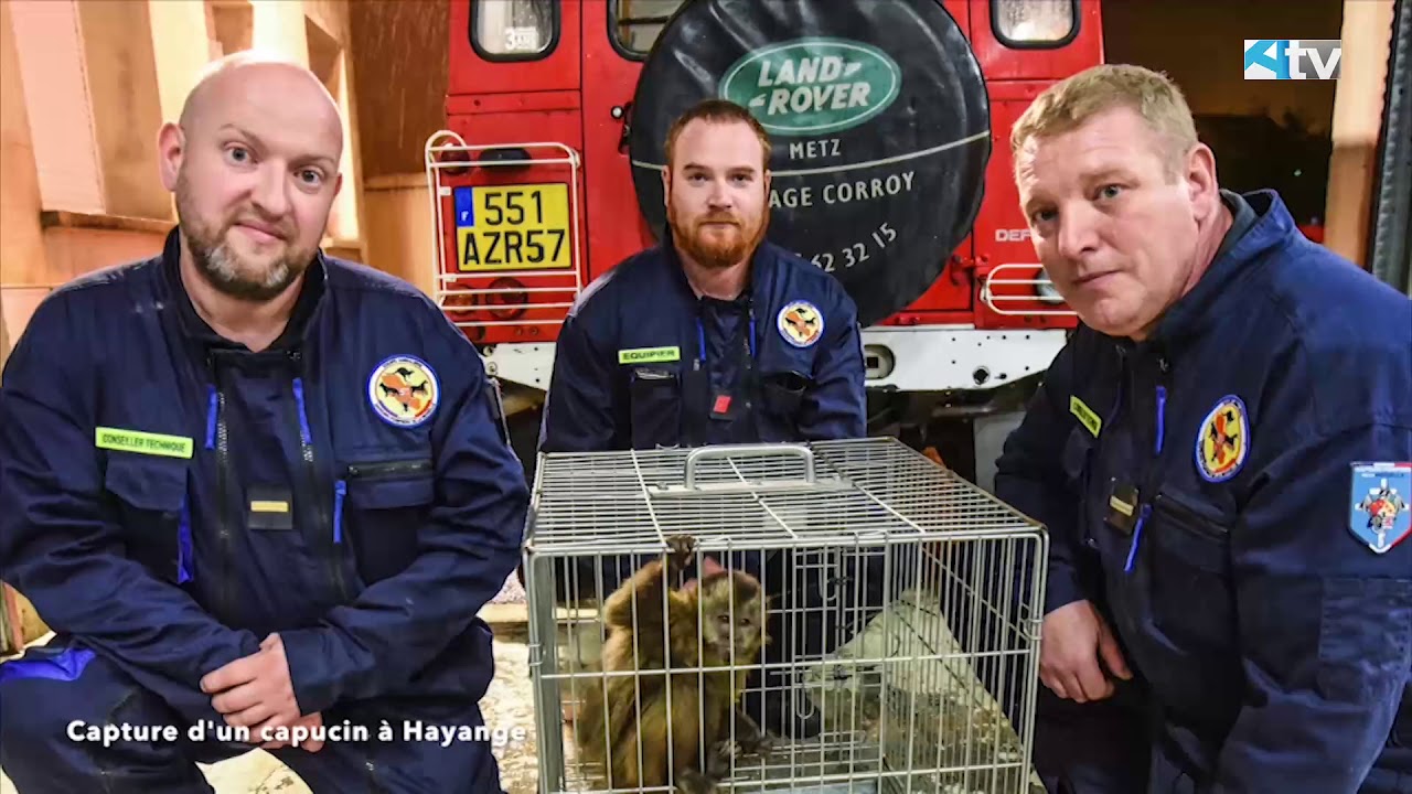 10 ans d'interventions pour les sauveteurs animaliers