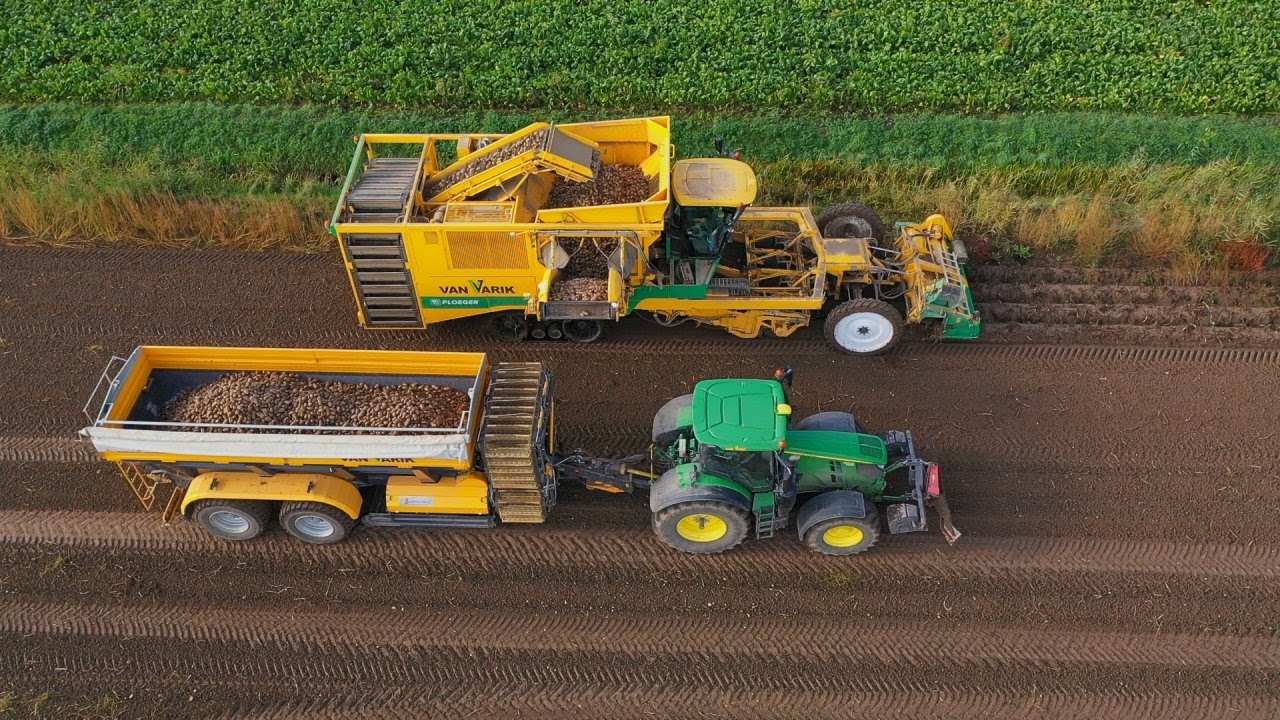 Aardappeloogst Ploeger AR-4BX en Brettmeister overlaadwagen