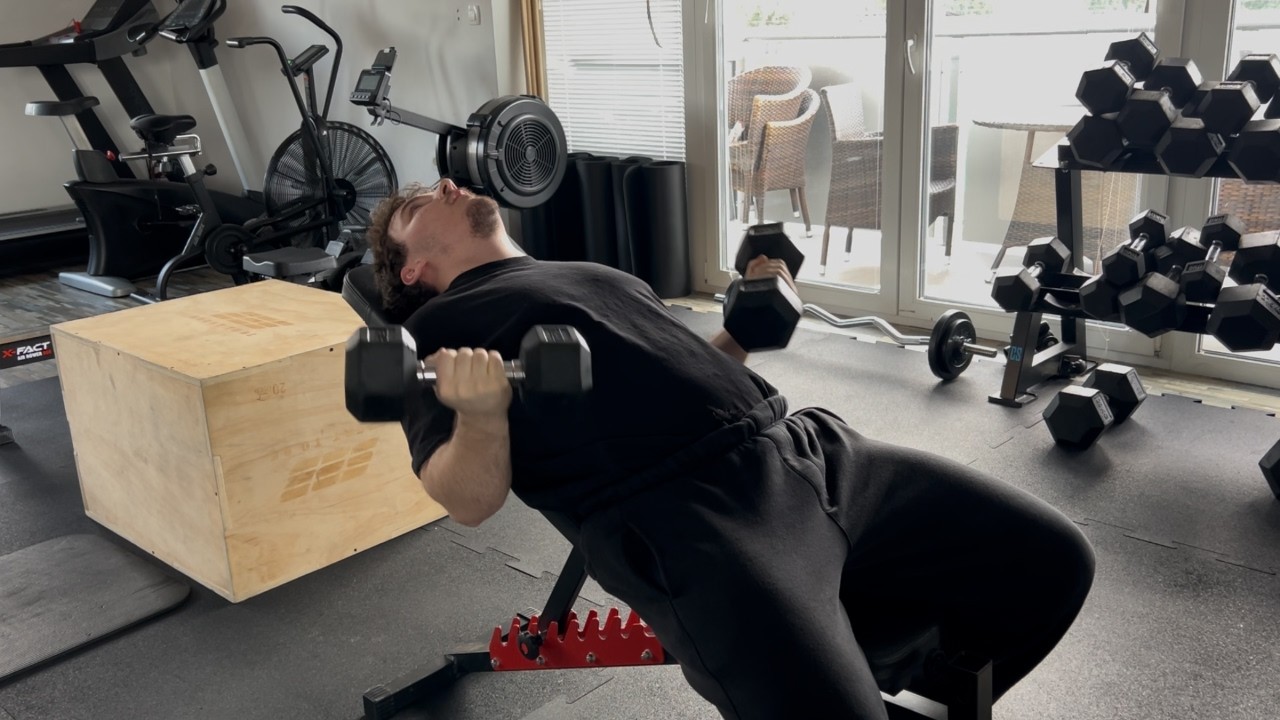 Bulk Day 125 - Arms [DELOAD]