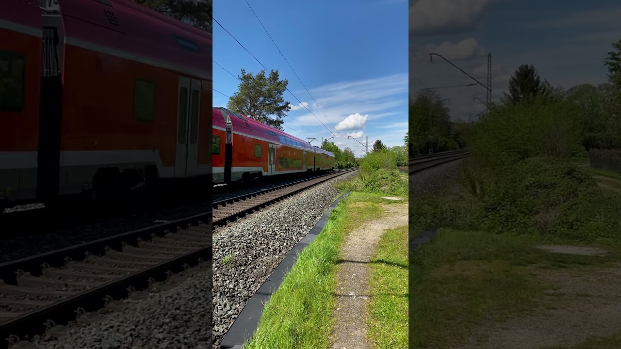 Desiro HC bremst in den Bahnhof Bamberg ein  | 