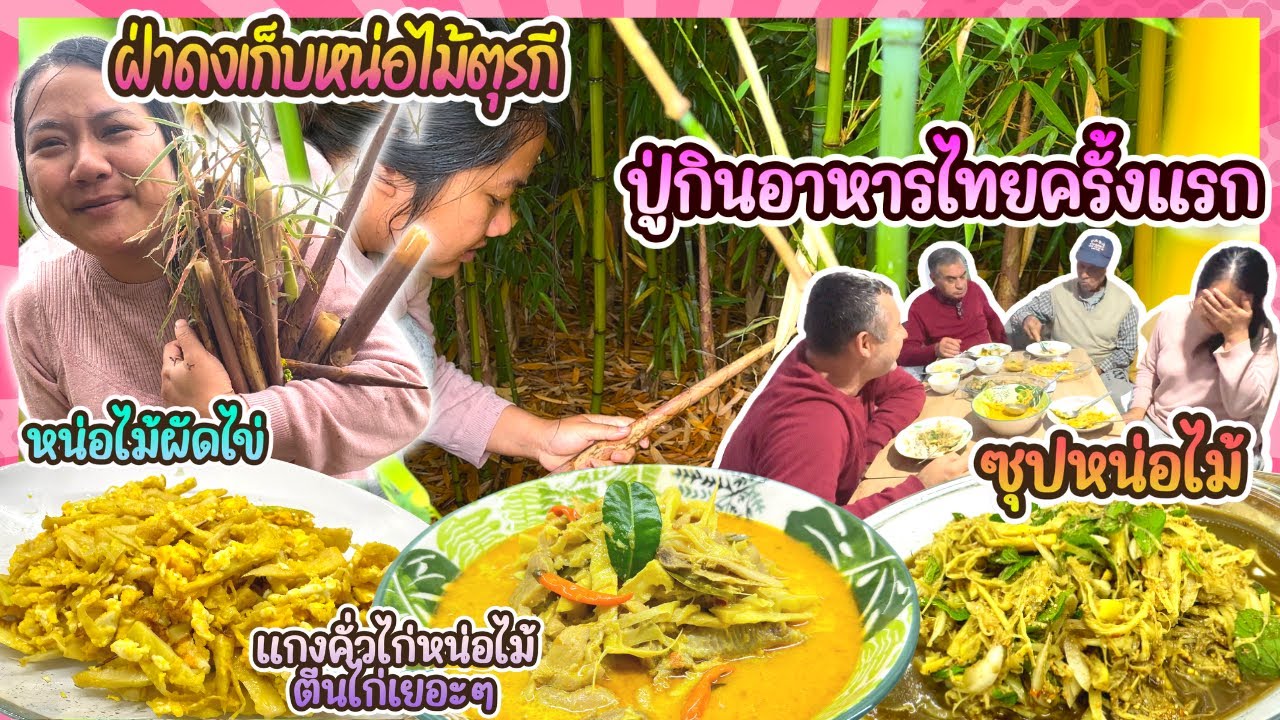 EP353 หน่อไม้เยอะมาก เก็บสดๆทำอาหารไทย พ่อสามีตุรกีกินอาหารไทยครั้งแรกถึงกับติดใจ
