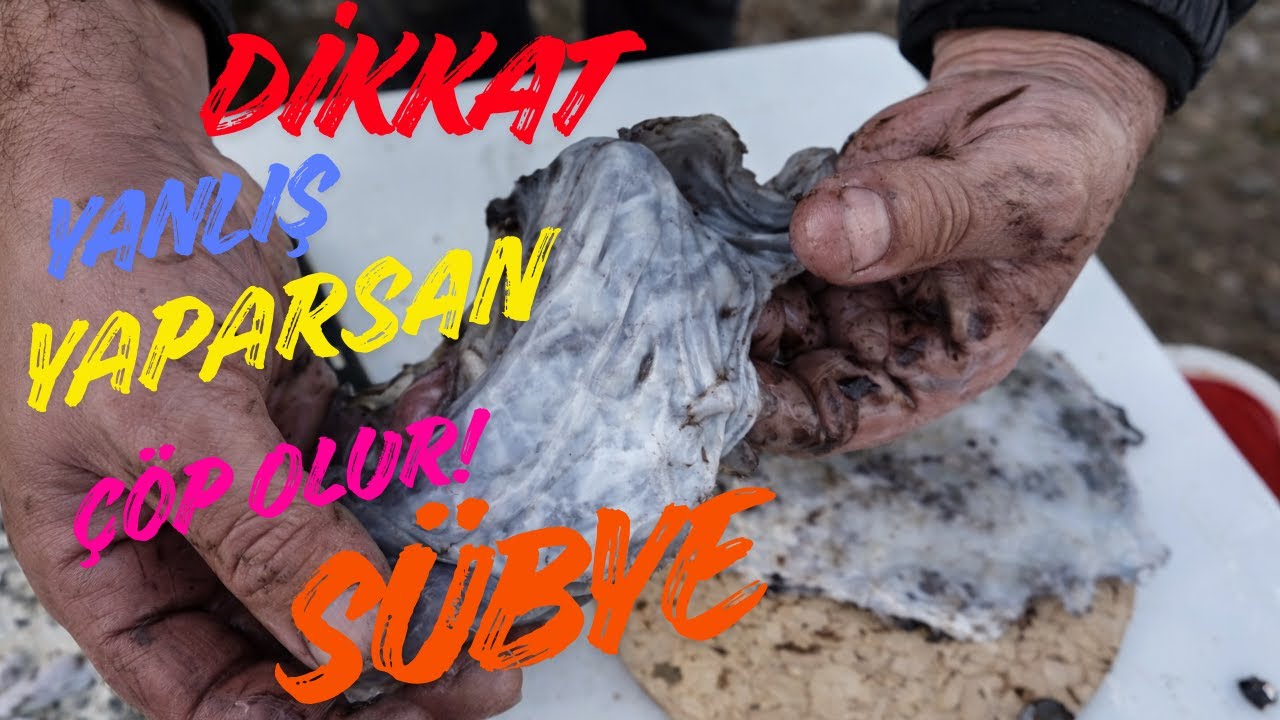 Sübye Nasıl Temizlenir? Yem ve Yemek İçin Doğru Temizlik!