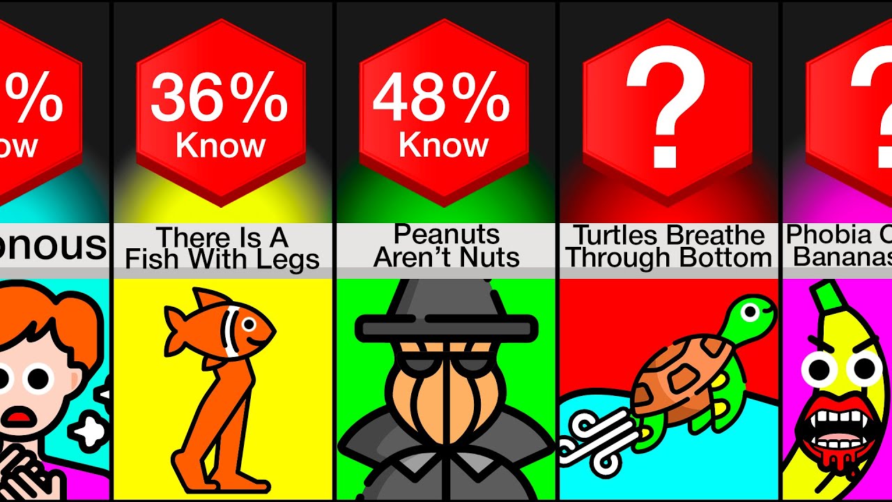 Comparison: I Bet You Didn't Know This! (Part 8)