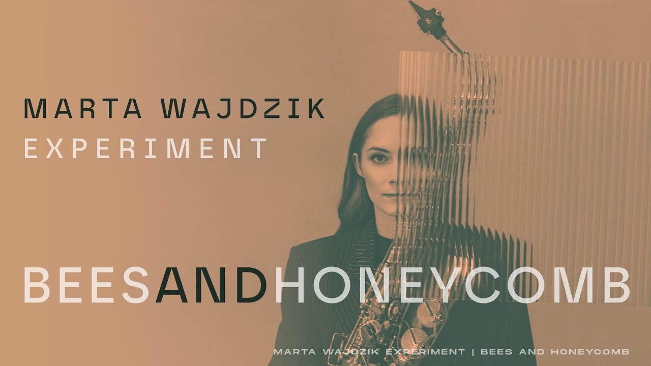 Marta Wajdzik Experiment - Bees and honeycomb (live session)