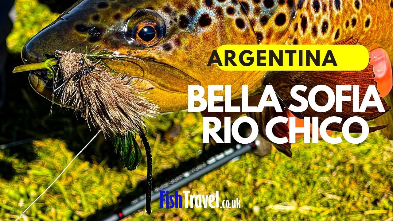 Brown Trout Fishing at Bella Sofia Lodge, Rio Chico, Argentina