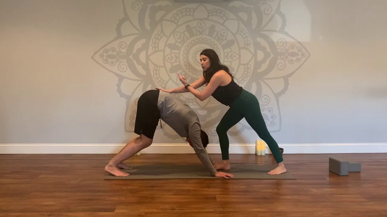 Hands on Assists for Yoga Teachers- Preview