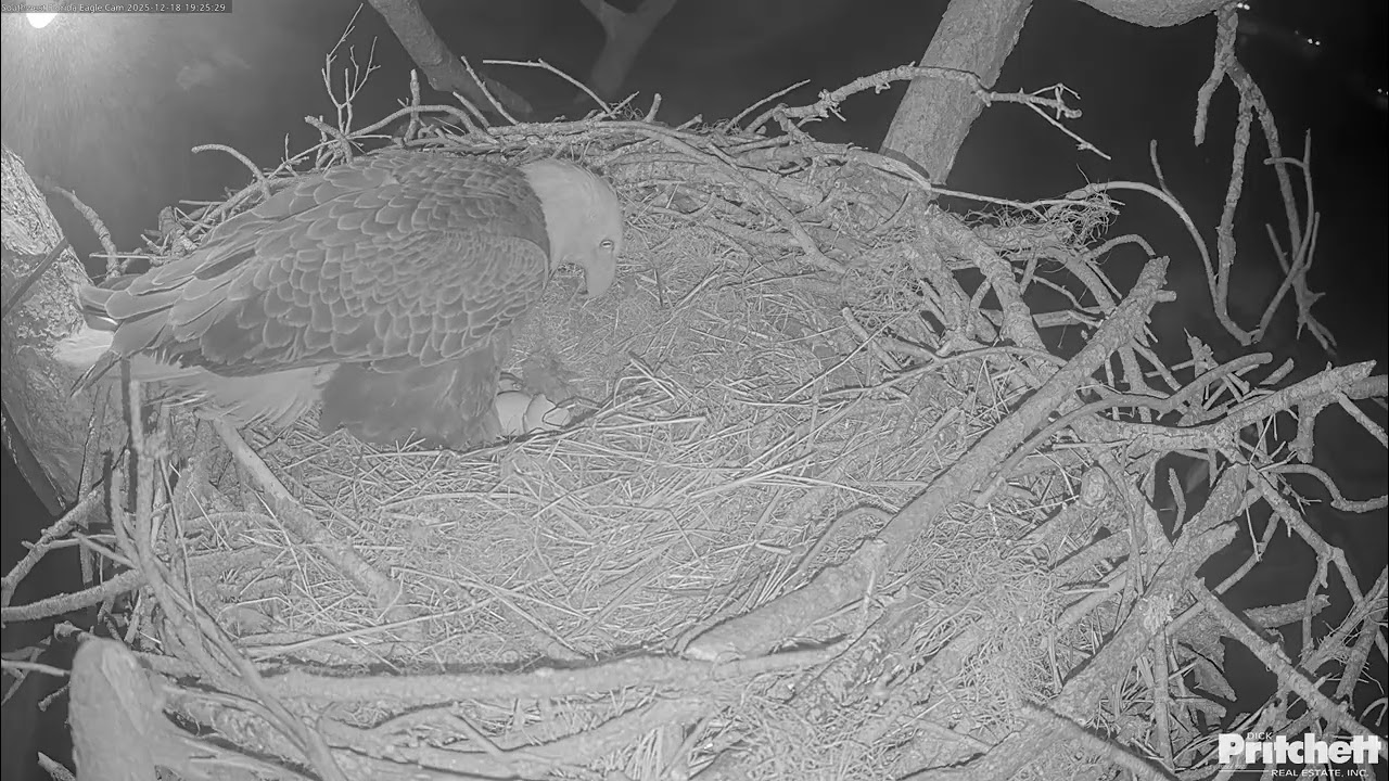 We have a HATCH! Welcome to the World E26!