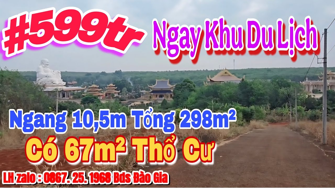 (03) 599tr | Ngang 10,5m Đất Ngay Khu du lịch Chùa Phật Quốc LH 0867251968 #bdsbinhphuoc