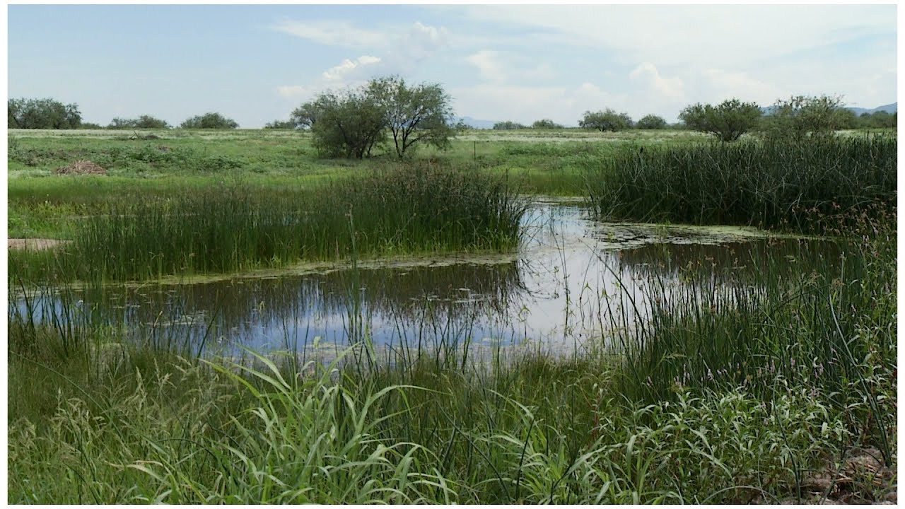 Buenos Aires National Wildlife Refuge