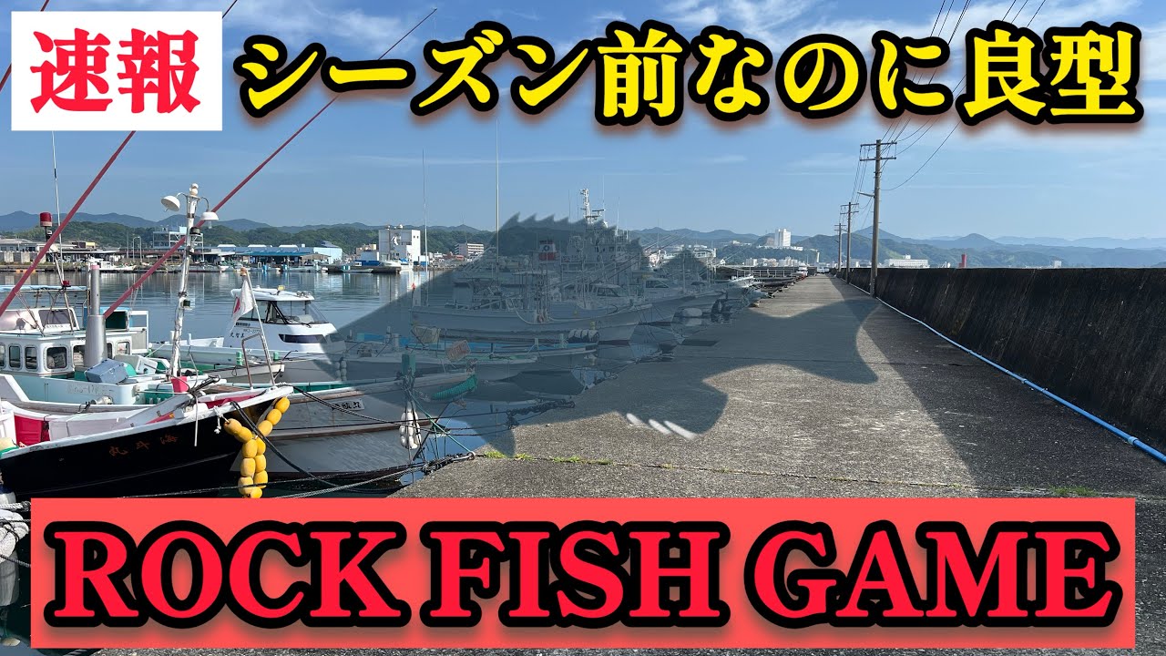 【和歌山南紀】1人もいない釣り場で良型のロックフィッシュが