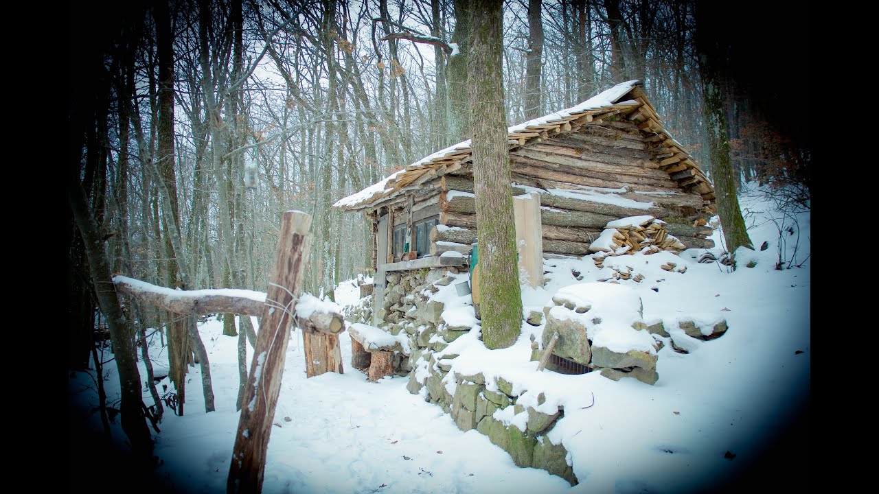Ma cabane au fond des bois