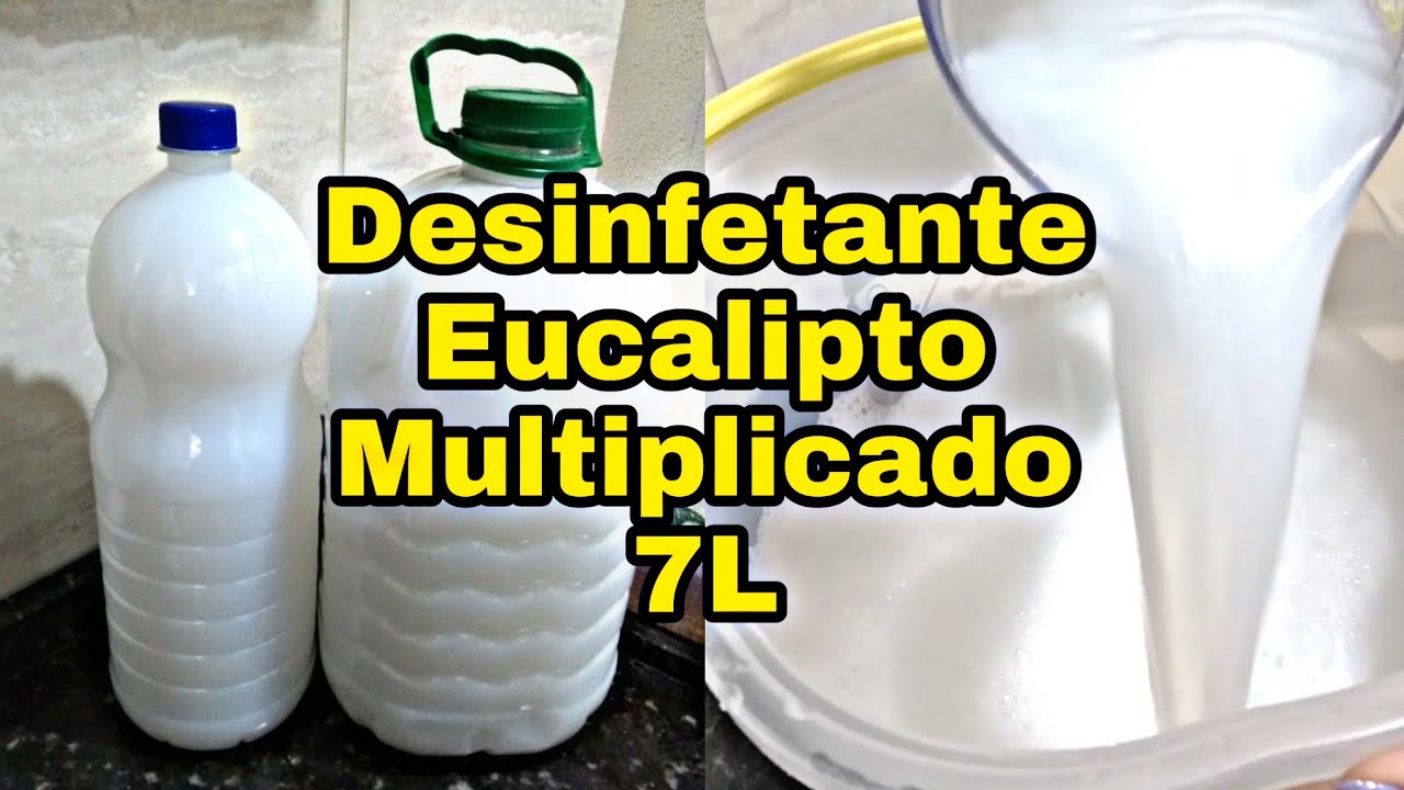 DESINFETANTE DE EUCALIPTO MULTIPLICADO fácil e rápido | DICAS SIMPLES