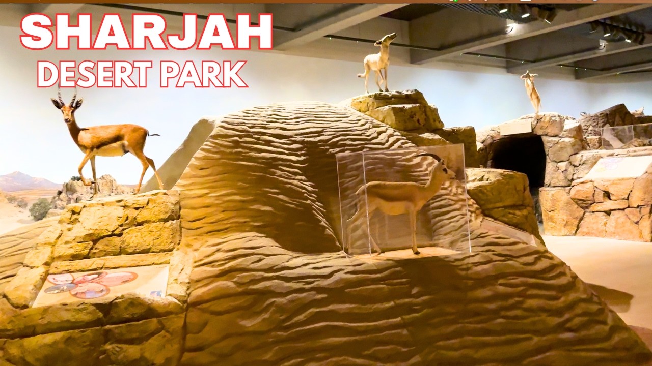 SHARJAH 🇦🇪 Desert Park Walking Tour  | Exploring Arabian Wildlife & Nature Walk 4K
