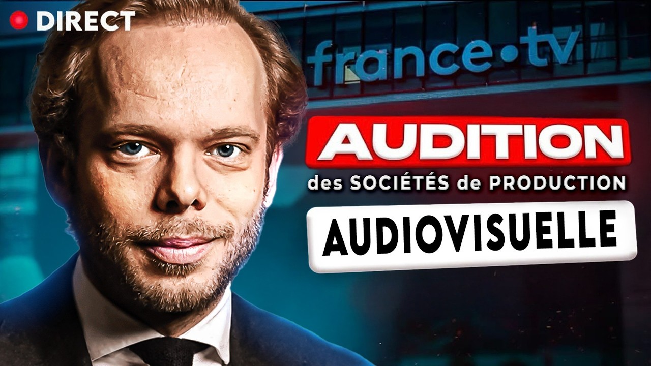 Commission d'enquête : suivez en direct l'audition des sociétés de production cinématographique !