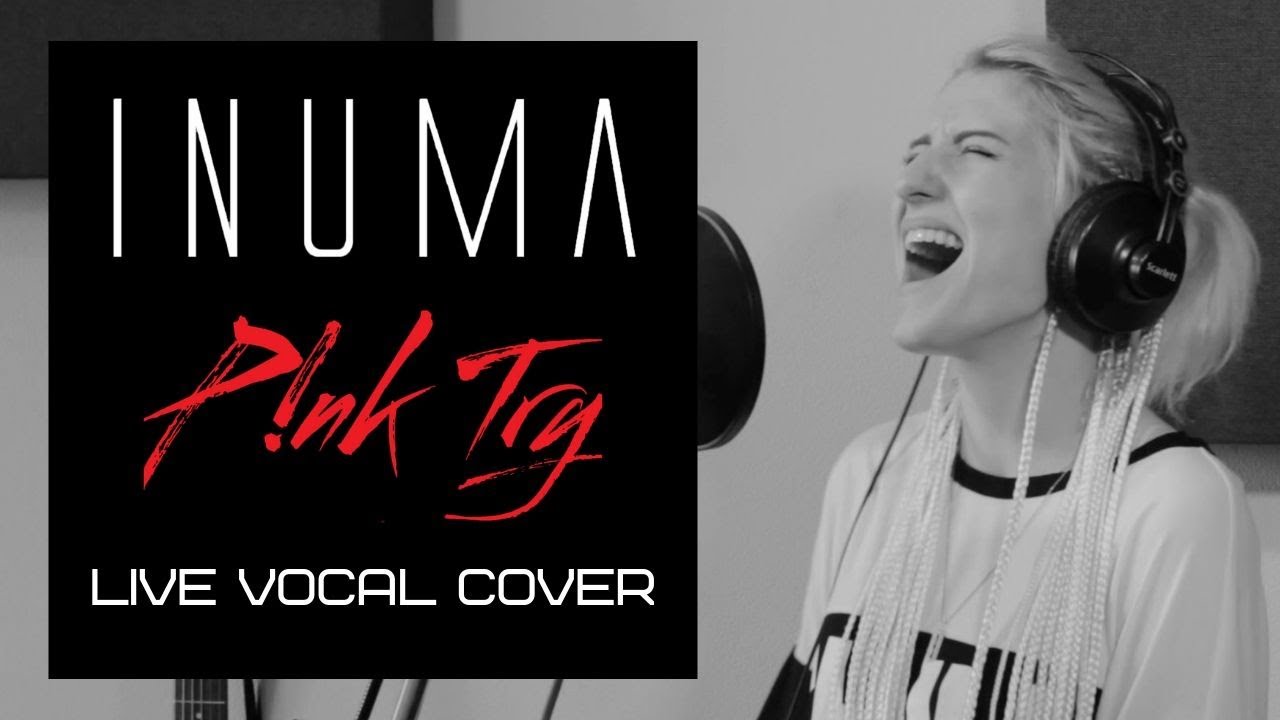 Pink - Try (Live Vocal Cover)