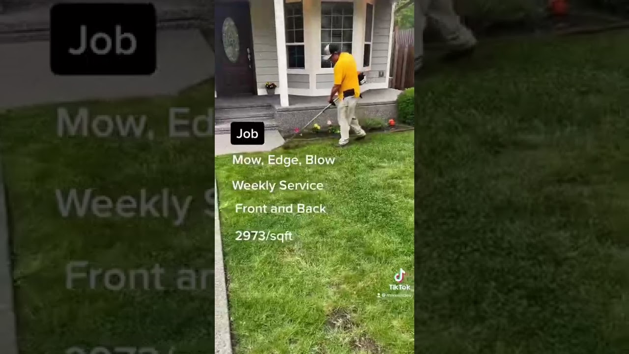 What&rsquo;s a fair Price for this size lawn?