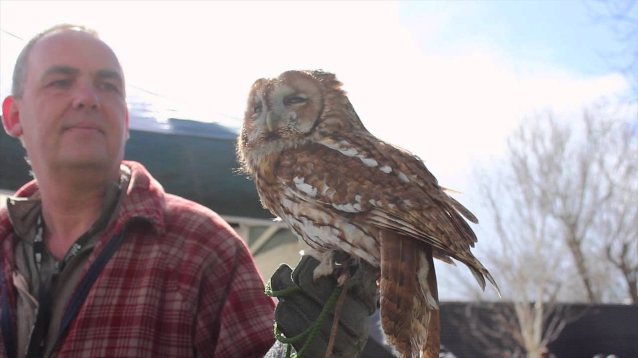 Secret World Wildlife Rescue Centre