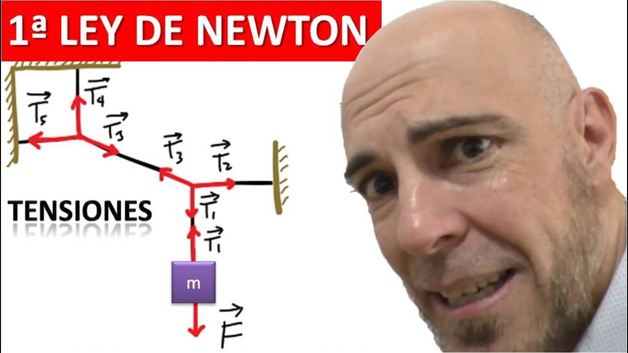 ESTÁTICA. PRIMERA LEY DE NEWTON. Problemas de cuerdas y tensiones