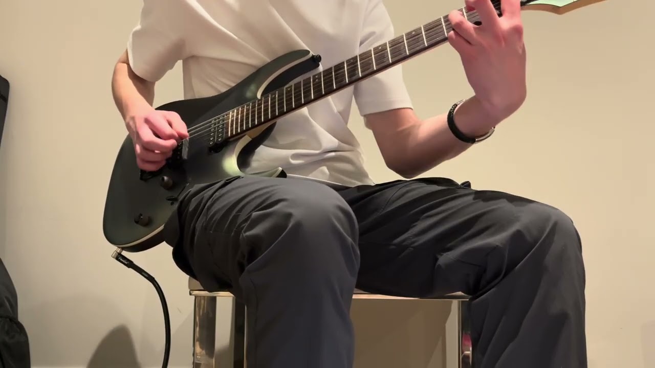 The Heaviest Matter of the Universe - Guitar Cover