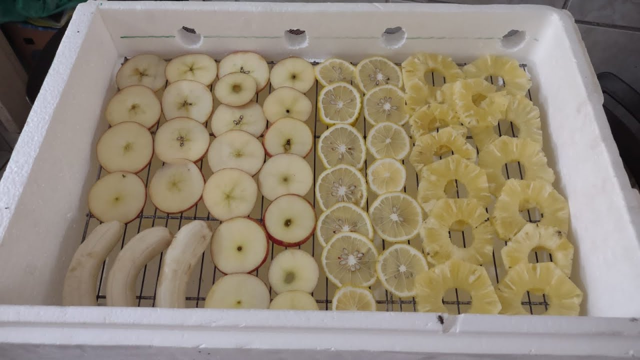 Desidratador solar de frutas caseiro- passo a passo.🍌🥬🍌🍋🥝🍏🍠🍐
