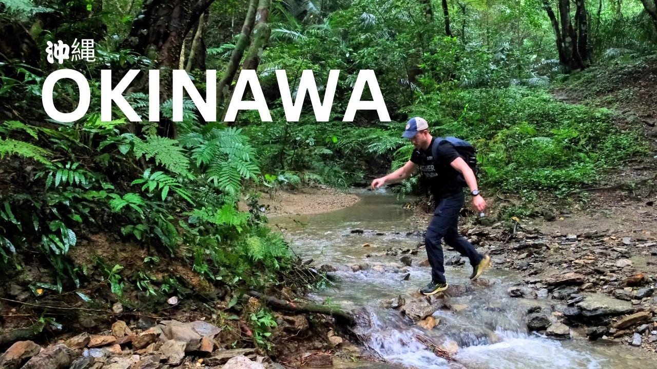 One Week in Okinawa | Not the Japan You Think You Know