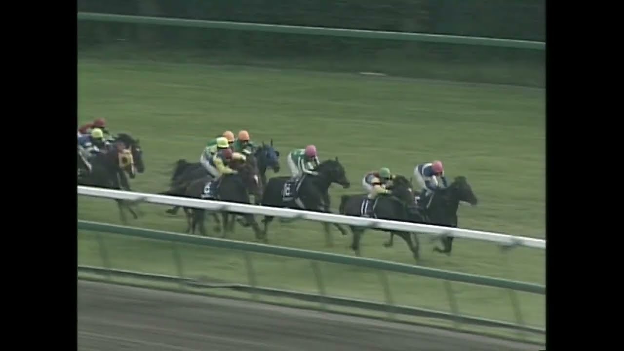 2000年スプリンターズステークス　ダイタクヤマト