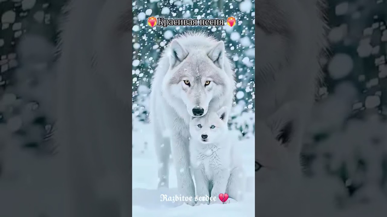 6 февраля 2026 г.