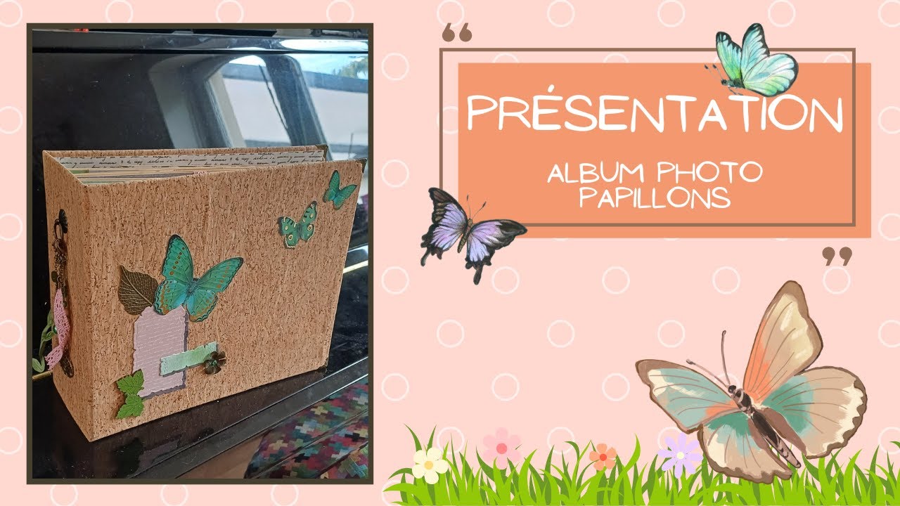 Présentation album papillon 🦋