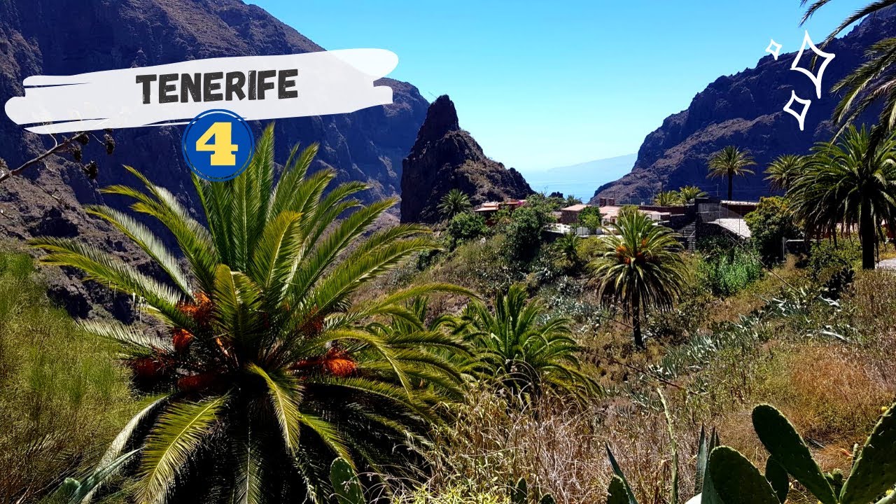 UN COIN DE PARADIS A TENERIFE (MASCA + LOS GIGANTES) | VLOG 4 TENERIFE