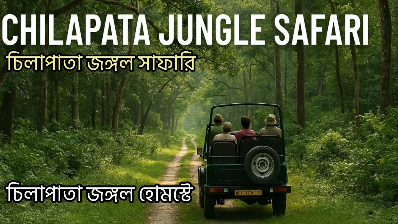 Chilapata Jungle Safari || চিলাপাতা ভ্রমণ তথ্য || ছোট্ট জঙ্গলে সুবিশাল হোমস্টে || Chilapata Forest |