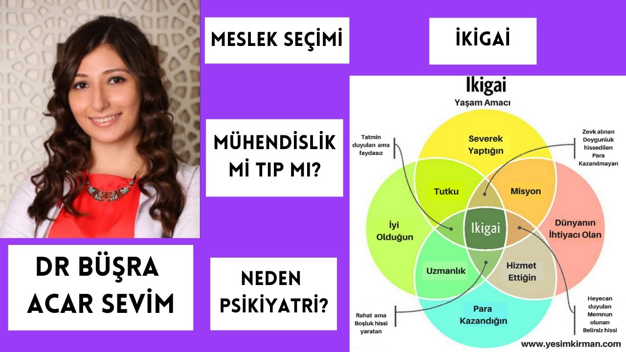 Meslek Seçimi, Mühendislik mi, Tıp mı?, Neden Doktorluk?, Neden Psikiyatri?, İkigai Kavramı