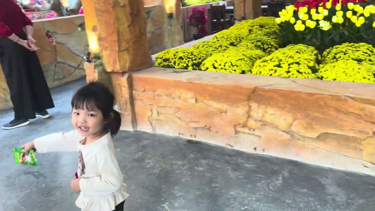 Nháp trước tết!