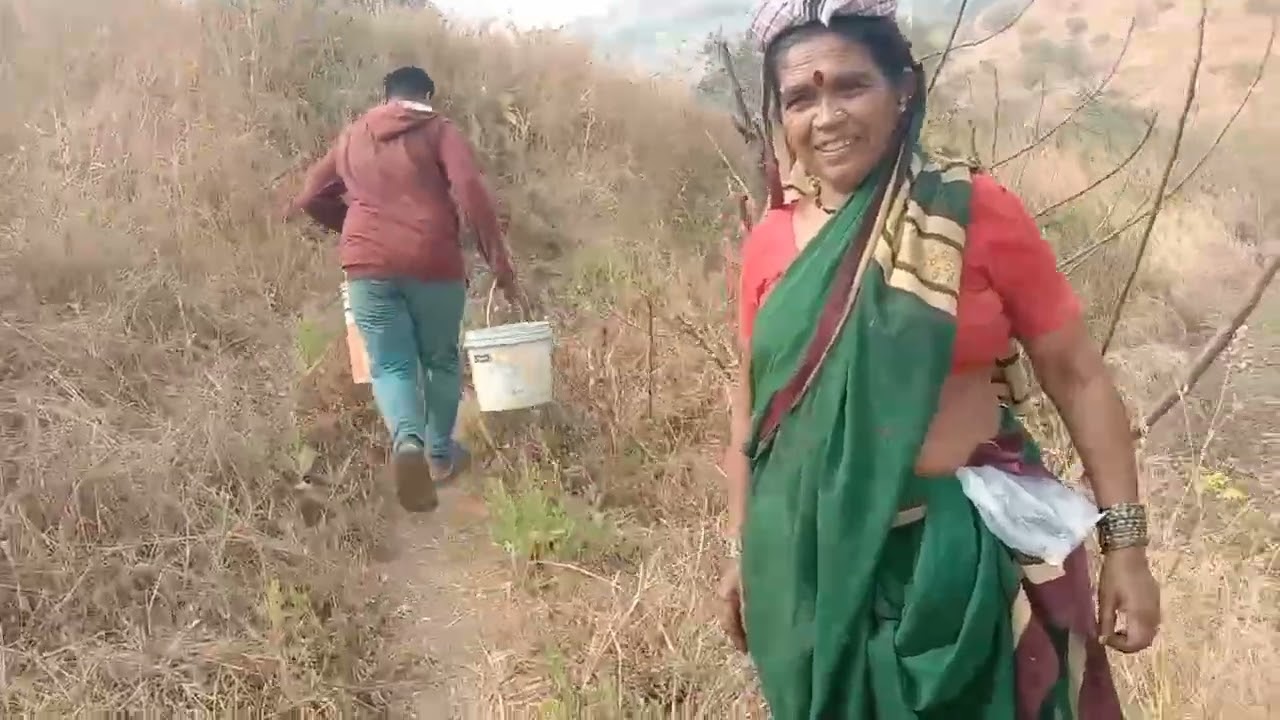 आज शेतामध्ये झाडांना खूप मेहनतीने मशागत करून पाणी दिलं | शेतकरी जीवन | Hard Work In Farm 🌱💪