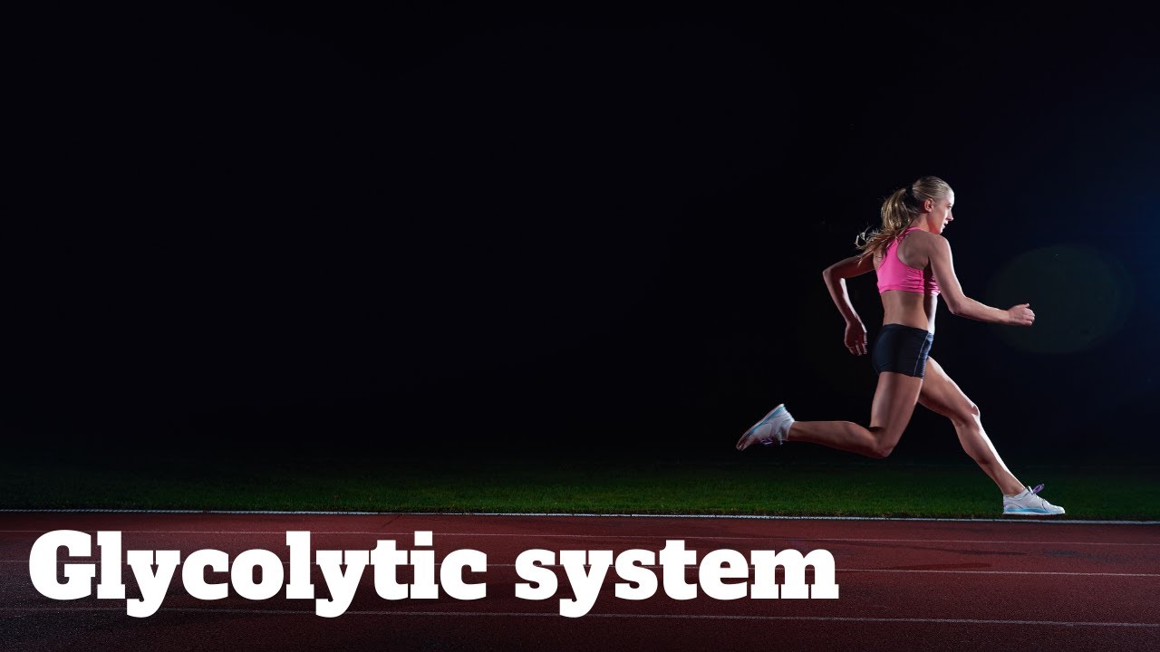 A-Level PE Glycolytic system